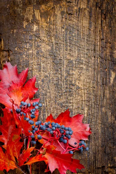 top view of autumn leaves and berries on wooden table