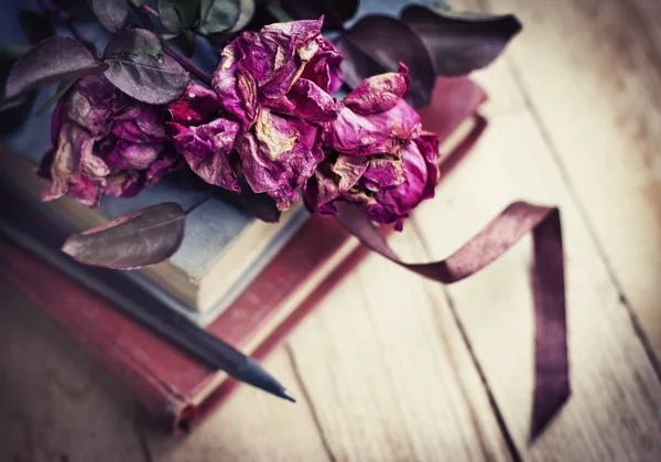 Eski Kitaplar Vintage Güllerinin Kalemle Kuru — Stok fotoğraf