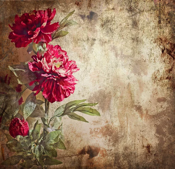 Fleurs Sèches Sur Motif Texture Vintage — Photo