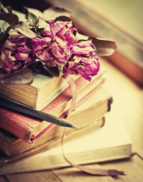 Rosas Secas Viejos Libros Vintage Con Lápiz — Foto de Stock