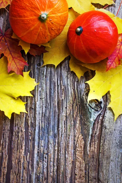 Vista Superior Las Hojas Otoño Calabazas Mesa Madera — Foto de Stock