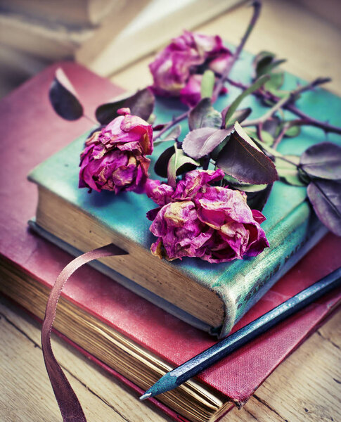 Dry roses on old vintage books with pencil 