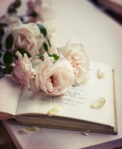 Hermosas Flores Blancas Con Libro Sobre Mesa Madera — Foto de Stock