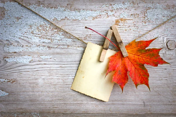 Top View Yellow Autumn Leaf Blank Template Wooden Table — Stock Photo, Image