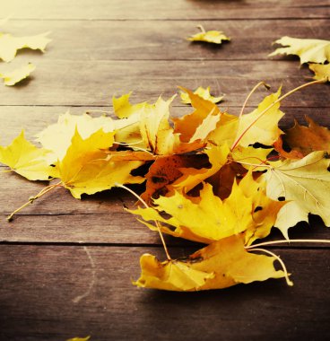 sonbahar yaprakları ahşap masa üzerinde yükseltilmiş görünümünü