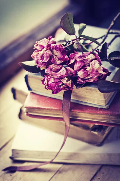 Dry Roses Old Vintage Books — Stock Photo, Image