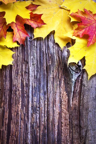 Erhöhter Blick Auf Herbstblätter Auf Holztisch — Stockfoto