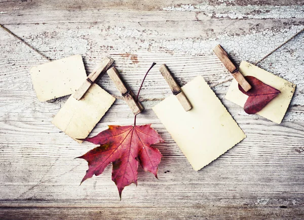 紙で木製の背景にロープで葉の秋のクローズ アップ ビュー — ストック写真