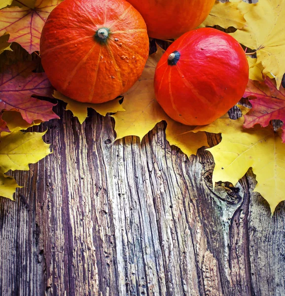 Calabazas Naranjas Frescas Superficie Madera Con Hojas Otoño — Foto de Stock