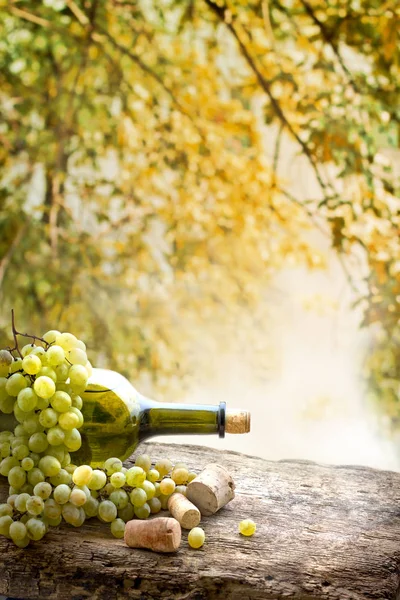 Botol Anggur Putih Anggur Dan Gabus Atas Meja Kayu — Stok Foto