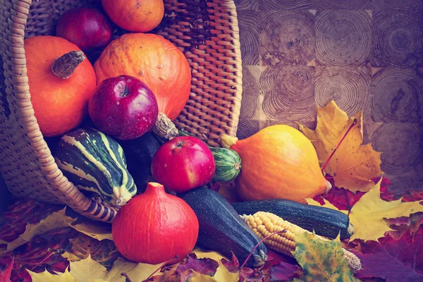 Autumnal Fresh Orange Pumpkins Apples Upturned Basket — Stock Photo, Image