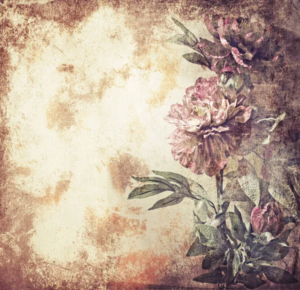 Ξηρά Λουλούδια Στον Σχεδιασμό Vintage Υφή — Φωτογραφία Αρχείου