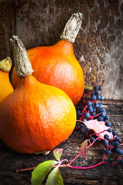 Fresh Orange Pumpkins Wooden Rustic Background Berries — Stock Photo, Image