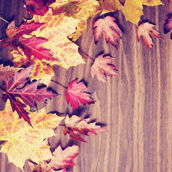 Autumnal Background Leaves Wooden Surface — Stock Photo, Image