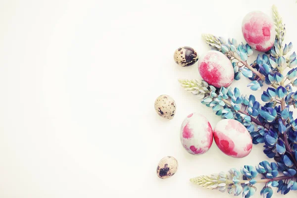 Banner Composição Férias Com Ovos Páscoa Belas Flores Primavera — Fotografia de Stock