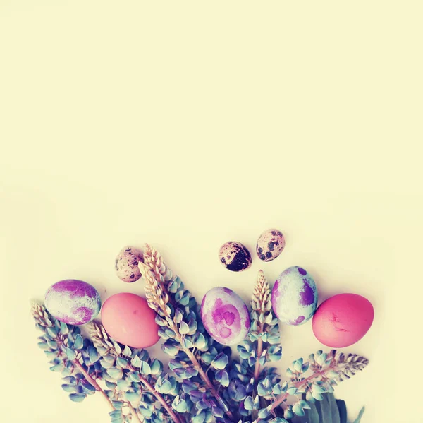 Banner Composição Férias Com Ovos Páscoa Belas Flores Primavera — Fotografia de Stock