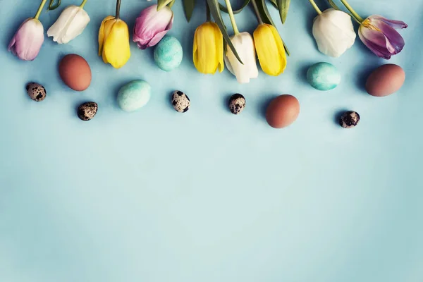 Uova Pasqua Con Fiori Tulipano Festivo Primavera Sfondo Blu — Foto Stock