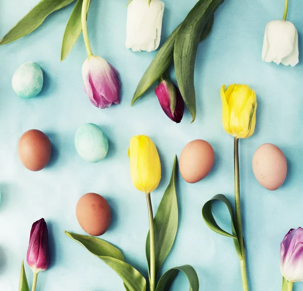 부활절 계란과 파란색 배경에 — 스톡 사진