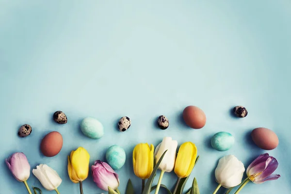 Ovos Páscoa Com Flores Tulipa Festiva Primavera Fundo Azul — Fotografia de Stock