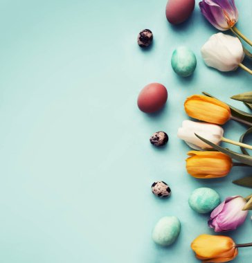 Paskalya yumurta tulip çiçek şenlikli bahar ile arka plan mavi