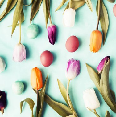 Paskalya düz ile yumurta ve Lale çiçek bahar mavi arka plan üzerinde göklere