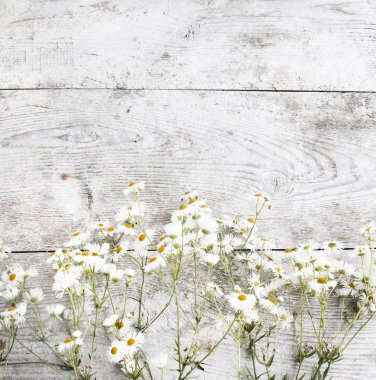 Alan çiçek kompozisyon üzerinde ahşap arka plan bahar