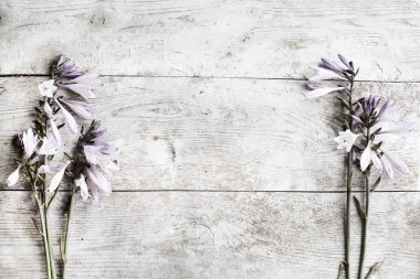 Bahar çiçek kompozisyon ahşap arka plan üzerinde