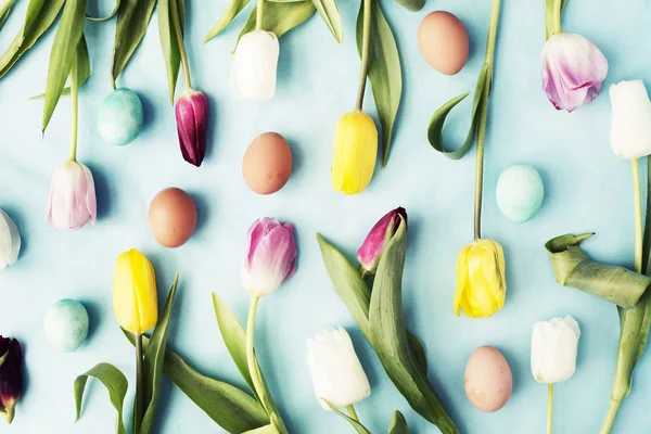 Pasqua Piatto Deporre Con Uova Fiori Tulipano Sfondo Blu Primavera — Foto Stock