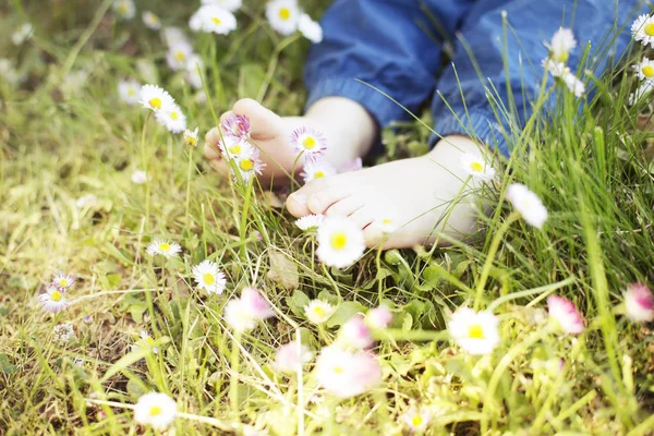 Voeten Van Kind Gras Van Bloeiende Zomer Groene Weide — Stockfoto