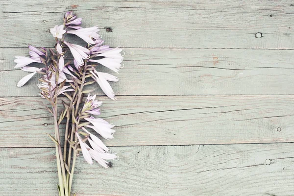 Frühling Rosa Blumen Komposition Über Hölzernen Hintergrund — Stockfoto