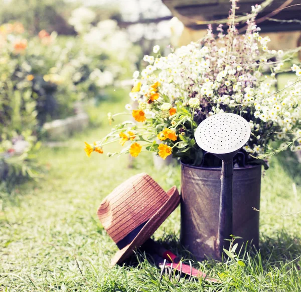 Beautiful Field Flowers Watering Can Country Garden Summer Concept — Stock Photo, Image