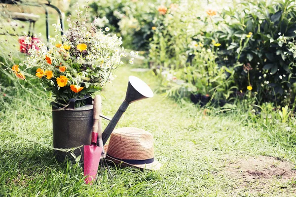 Vackra Fält Blommor Vattenkanna Trädgård Sommar Begreppet — Stockfoto