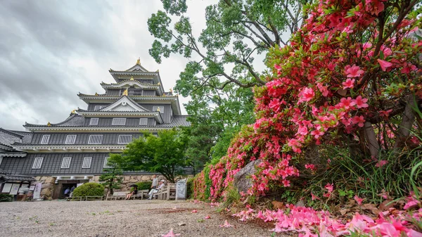Okayama castle gegen dunkle wolken mit blumen, japan — Stockfoto