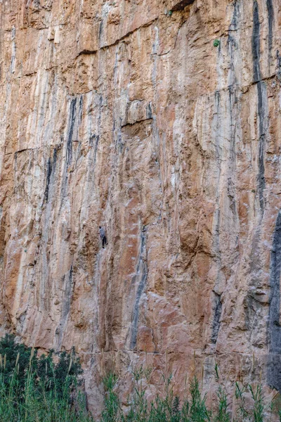 Мужчина-альпинист висит на вертикальной скале — стоковое фото