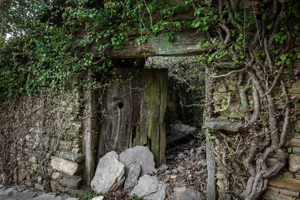 Oude verwoeste houten deur — Stockfoto