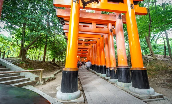 Worms vista para os olhos de portões Torii — Fotografia de Stock