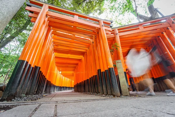 Хробаки око зору Torii ворота з розмитими людей — стокове фото