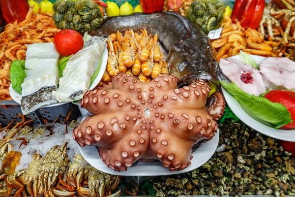 Octopus en zeevruchten — Stockfoto