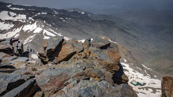 Berggeit bovenop de rotsen — Stockfoto