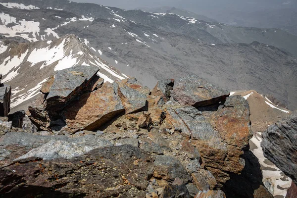 Mountain goat resting on top of mountain peak — Stock Photo, Image