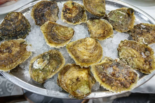 Oyster plate with ice