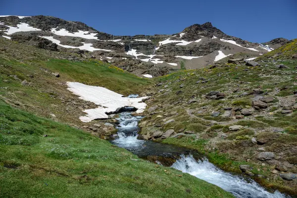 Sommartid, snö smältning — Stockfoto