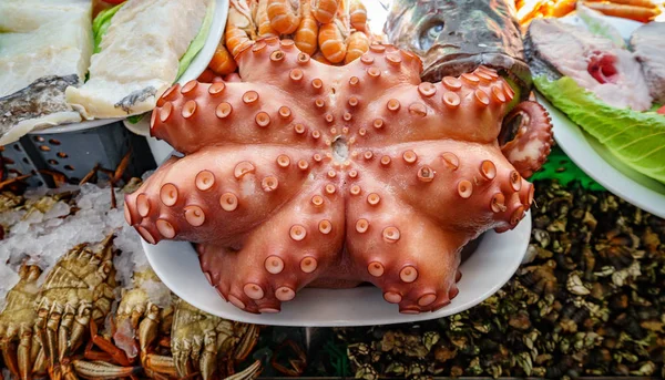 Ober weergegeven: rauwe octopus plaat — Stockfoto