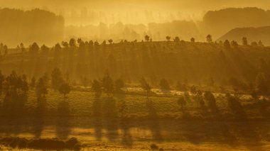 Güzel şafak ağaçlar ve tepeler ile arka aydınlatma