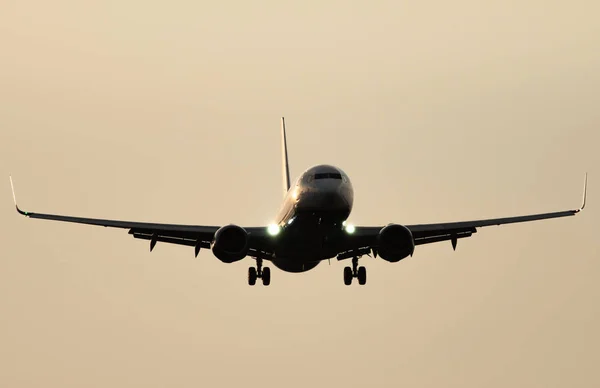 Jet plane landing against clear sky at dusk — Stock Photo, Image