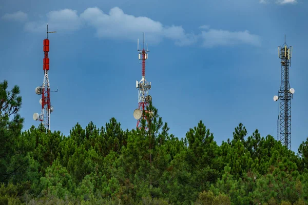İletişim kuleleri çam ağacı orman üzerinde ortaya çıkan — Stok fotoğraf