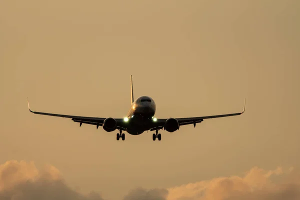 Jet plane landing against clouds at sunset — Stock Photo, Image