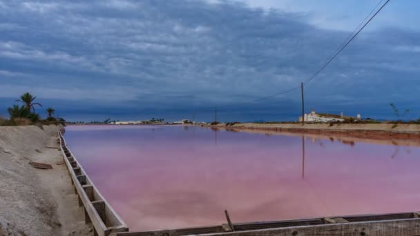 Pink zout zwembad in saltmine, groothoek timelapse bij zonsopgang — Stockvideo