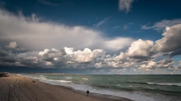 Strand en commerciële haven met kranen timelapse — Stockvideo