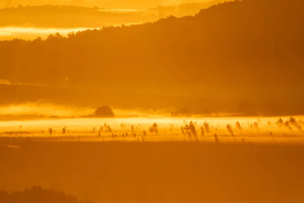 Orangefärgad landskap vid soluppgången med fog — Stockfoto